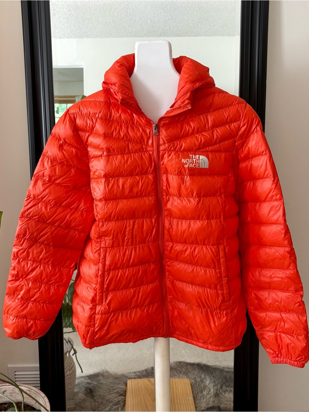 THE NORTH FACE Summit Series Down Coat